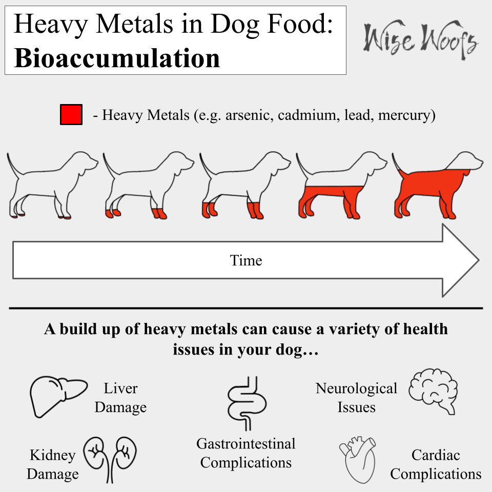 Heavy Metals In Dog Food - Wise Woofs - Heavy Metal Poisoning In Dog Grass